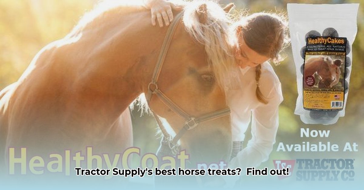 horse-treats-at-tractor-supply